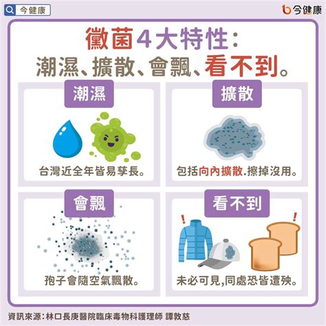 發霉|發霉易增罹癌風險，怎麼清潔？譚敦慈教2招除黴，日。